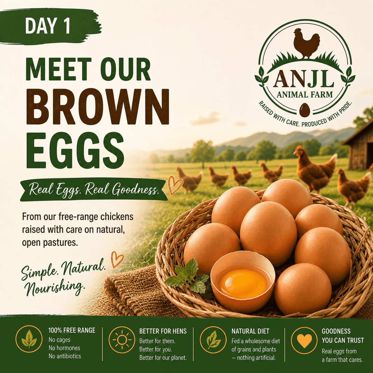 Day 1 — Meet our brown eggs: real eggs, real goodness from ANJL Animal Farm