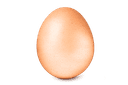 Medium brown egg — ANJL Animal Farm